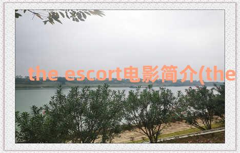 the escort电影简介(the escape电影)